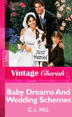 C.J. Hill Baby Dreams And Wedding Schemes обложка книги