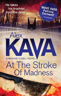 Alex Kava At The Stroke Of Madness обложка книги