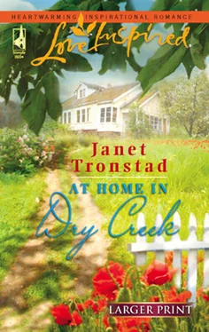 Janet Tronstad At Home in Dry Creek обложка книги