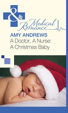 Amy Andrews A Doctor, A Nurse: A Christmas Baby обложка книги