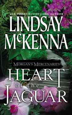 Lindsay McKenna Morgan's Mercenaries: Heart of the Jaguar обложка книги