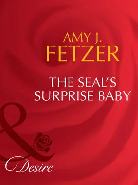Amy Fetzer The Seal's Surprise Baby обложка книги