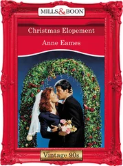 Anne Eames - Christmas Elopement