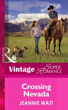 Jeannie Watt Crossing Nevada обложка книги
