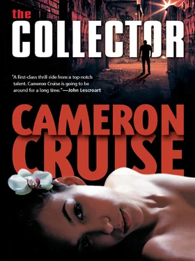 Cameron Cruise The Collector обложка книги