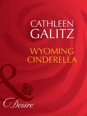 Cathleen Galitz Wyoming Cinderella обложка книги