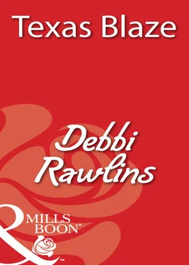 Debbi Rawlins Texas Blaze обложка книги
