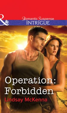 Lindsay McKenna Operation: Forbidden обложка книги