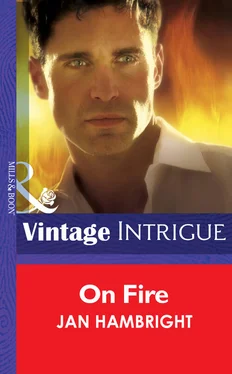 Jan Hambright On Fire обложка книги