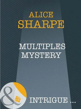 Alice Sharpe Multiples Mystery обложка книги