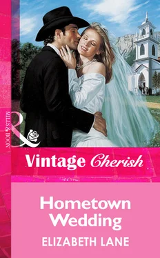 Elizabeth Lane Hometown Wedding обложка книги