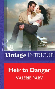 Valerie Parv Heir To Danger обложка книги
