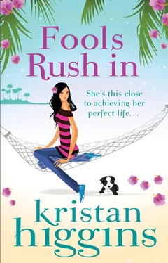 Kristan Higgins Fools Rush In обложка книги