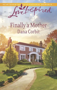 Dana Corbit Finally a Mother обложка книги