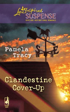 Pamela Tracy Clandestine Cover-Up обложка книги