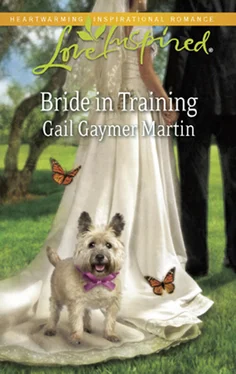 Gail Martin Bride in Training обложка книги