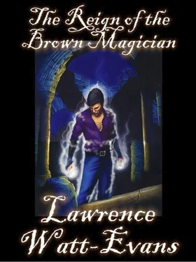 Lawrence Watt-Evans The Reign of the Brown Magician обложка книги