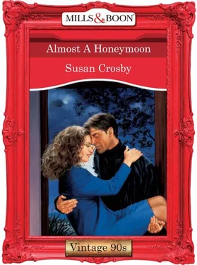Susan Crosby Almost A Honeymoon обложка книги