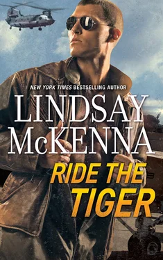 Lindsay McKenna Ride The Tiger обложка книги
