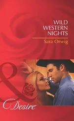 Sara Orwig - Wild Western Nights