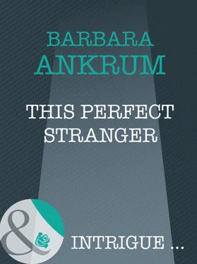 Barbara Ankrum This Perfect Stranger обложка книги