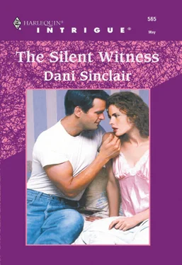 Dani Sinclair The Silent Witness обложка книги