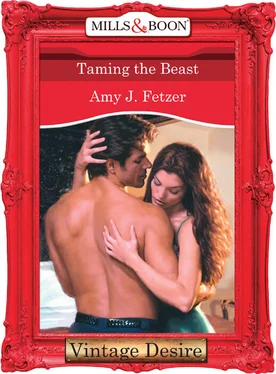 Amy Fetzer Taming The Beast обложка книги