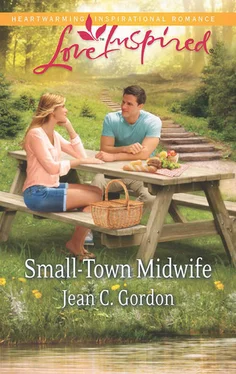 Jean Gordon Small-Town Midwife обложка книги