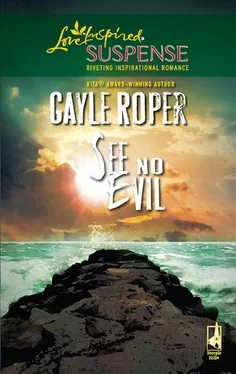 Gayle Roper See No Evil обложка книги