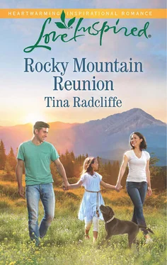 Tina Radcliffe Rocky Mountain Reunion обложка книги