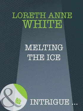 Loreth White Melting The Ice обложка книги