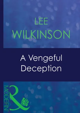 Lee Wilkinson A Vengeful Deception обложка книги
