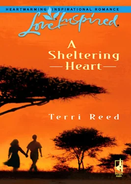 Terri Reed A Sheltering Heart обложка книги