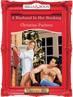 Christine Pacheco A Husband In Her Stocking обложка книги