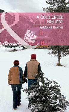 RaeAnne Thayne A Cold Creek Holiday обложка книги