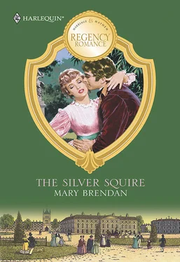 Mary Brendan The Silver Squire обложка книги