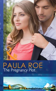 Paula Roe The Pregnancy Plot обложка книги