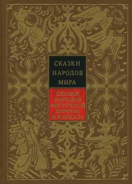 Народные сказки Сказки народов Восточной Европы и Кавказа обложка книги