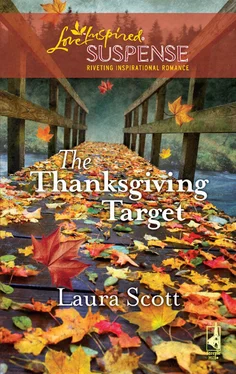 Laura Scott The Thanksgiving Target обложка книги