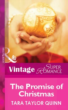 Tara Quinn The Promise of Christmas обложка книги