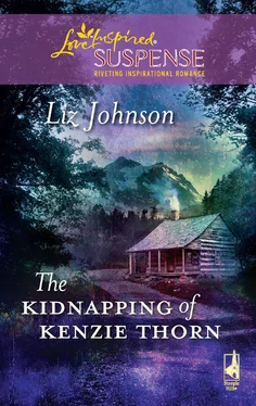 Liz Johnson The Kidnapping of Kenzie Thorn обложка книги