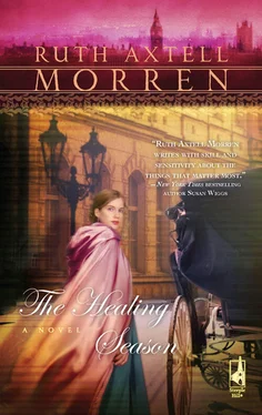 Ruth Morren The Healing Season обложка книги