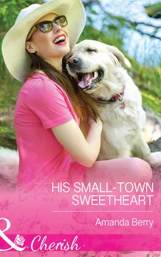 Amanda Berry His Small-Town Sweetheart обложка книги