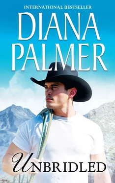 Diana Palmer Unbridled обложка книги