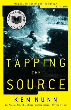 Kem Nunn Tapping the Source обложка книги