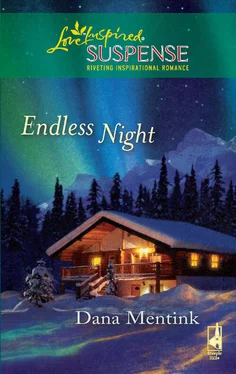 Dana Mentink Endless Night обложка книги