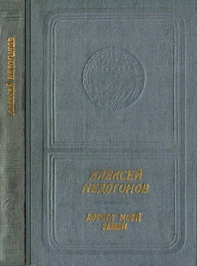 Алексей Недогонов Дорога моей земли обложка книги