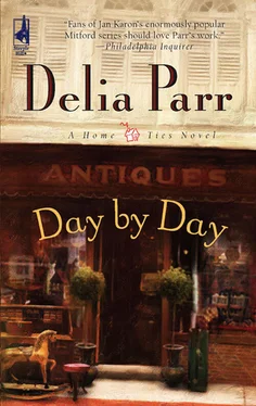 Delia Parr Day By Day обложка книги