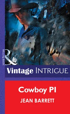Jean Barrett Cowboy Pi обложка книги