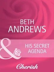 Beth Andrews - His Secret Agenda